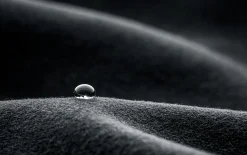 Sail Racing THE WOOL JACKET